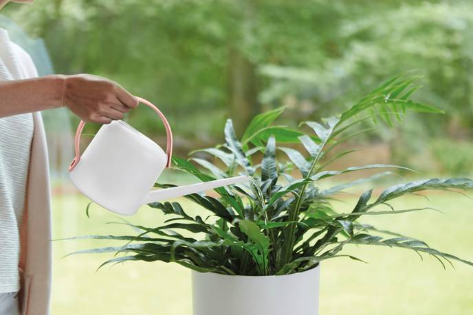b.for soft watering can 1,7ltr white